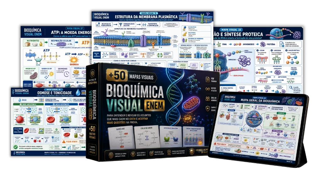 Mockup dos entregáveis do Bioquímica Visual ENEM